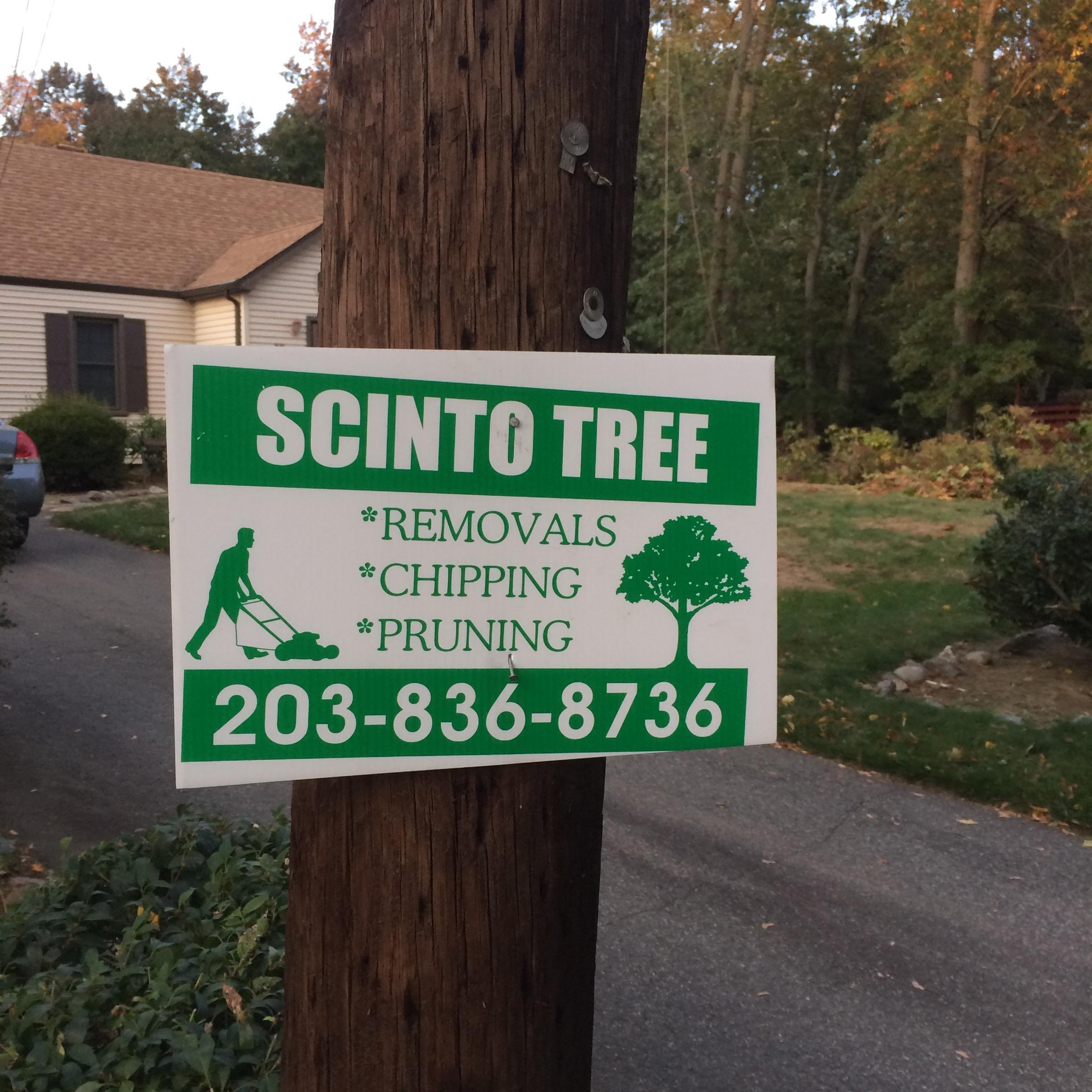 Scinto Tree Care, LLC