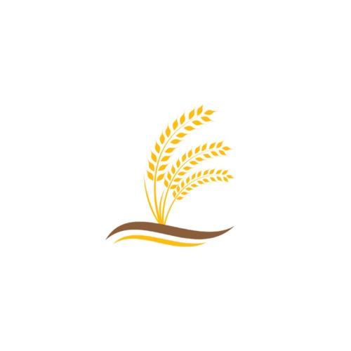 Harvest Baptist Church