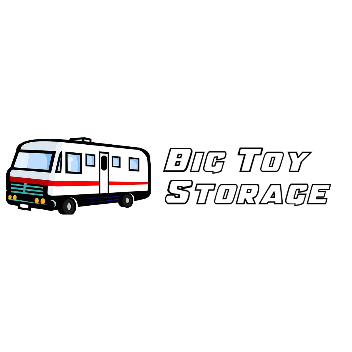 Big Toy Storage