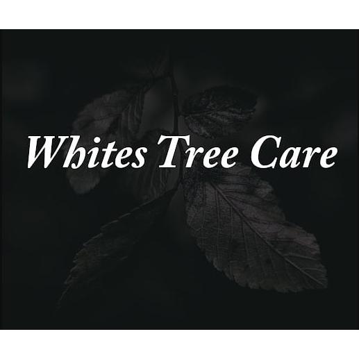 White's Tree Care