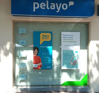 Oficina Seguros Pelayo