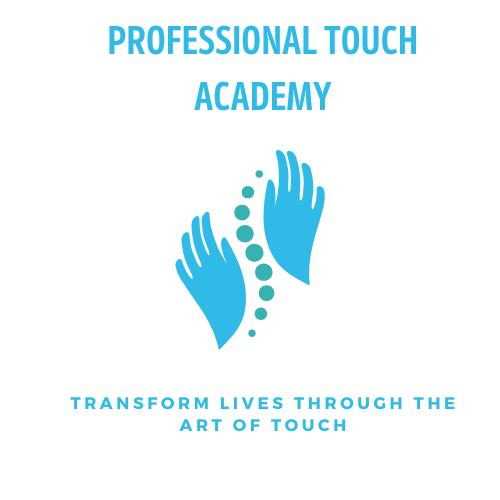 Professional Touch Academy