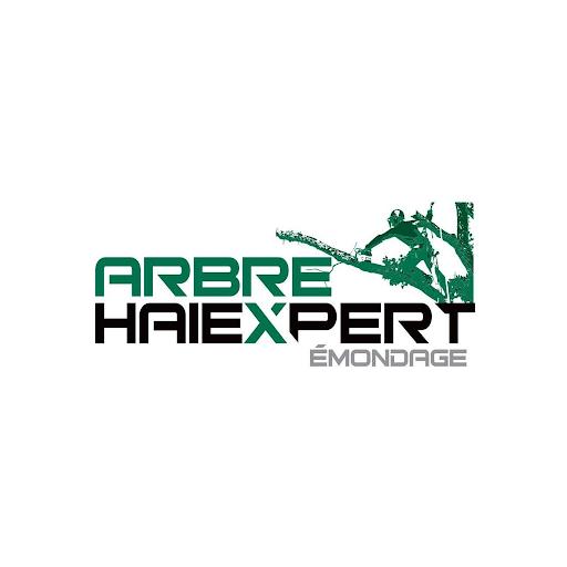 Arbre Haiexpert - Élagage, Émondeur, Abattage d'arbre