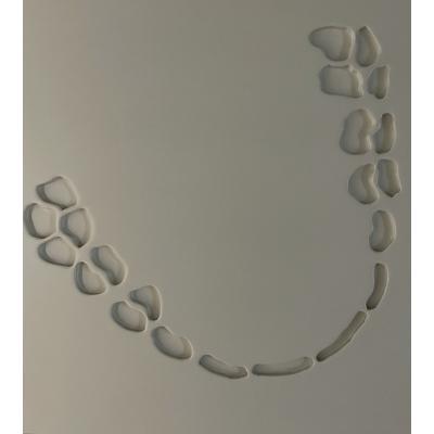 Zahnarztpraxis Bettina Gerber-Harant