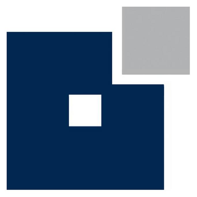 Dr. Schannath Executive Search