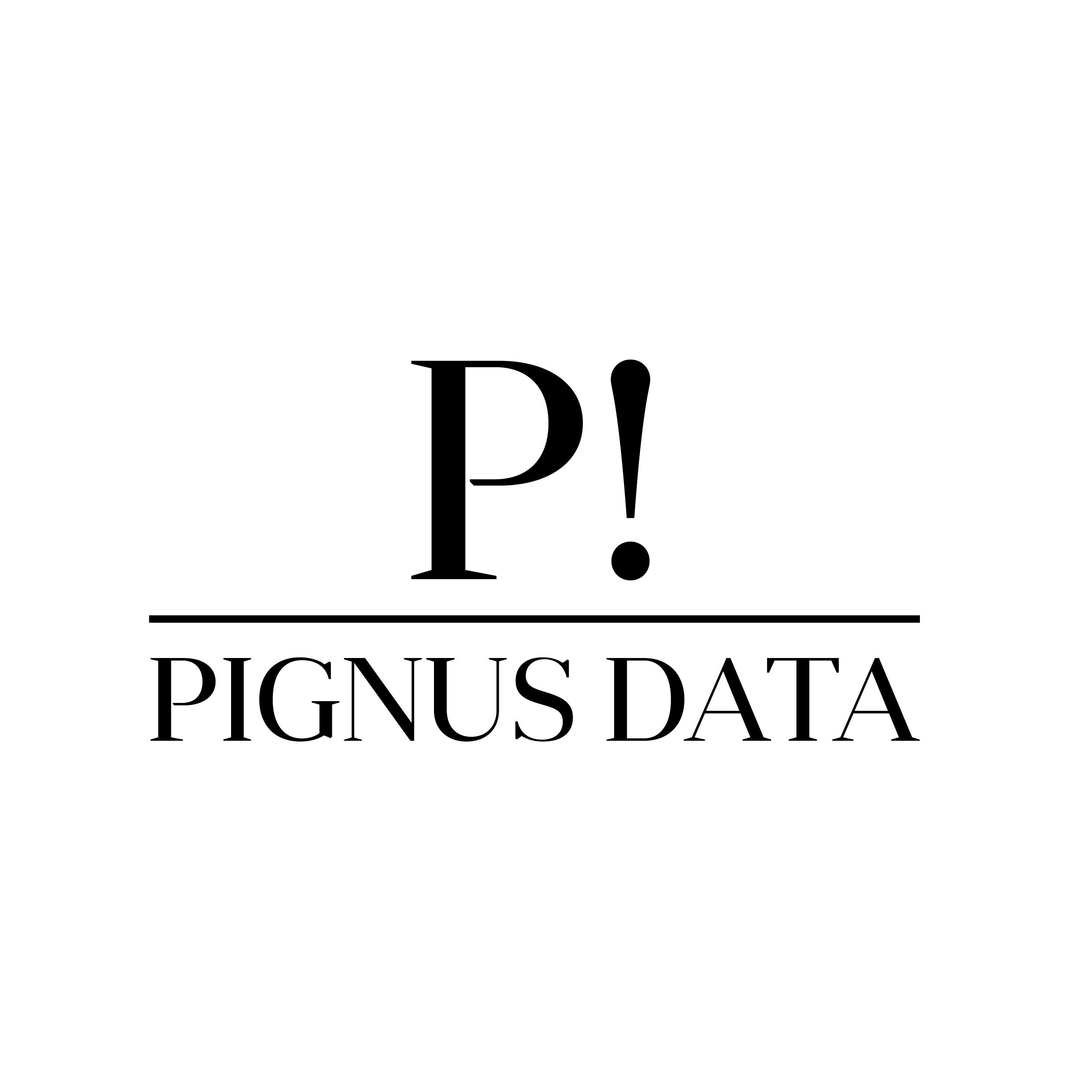 Pignus Data - einfache und passende Datenschutzlösungen