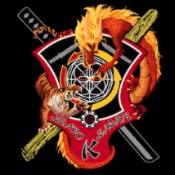 Msd Kenpo Karate