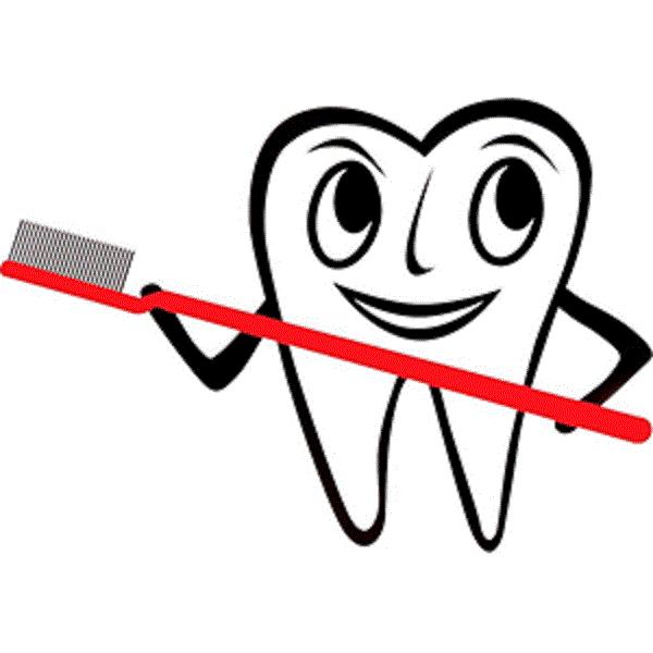 Dr. Birgit Passath-Neulinger