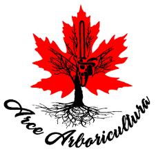 Podas y Talas Arce Arboricultura