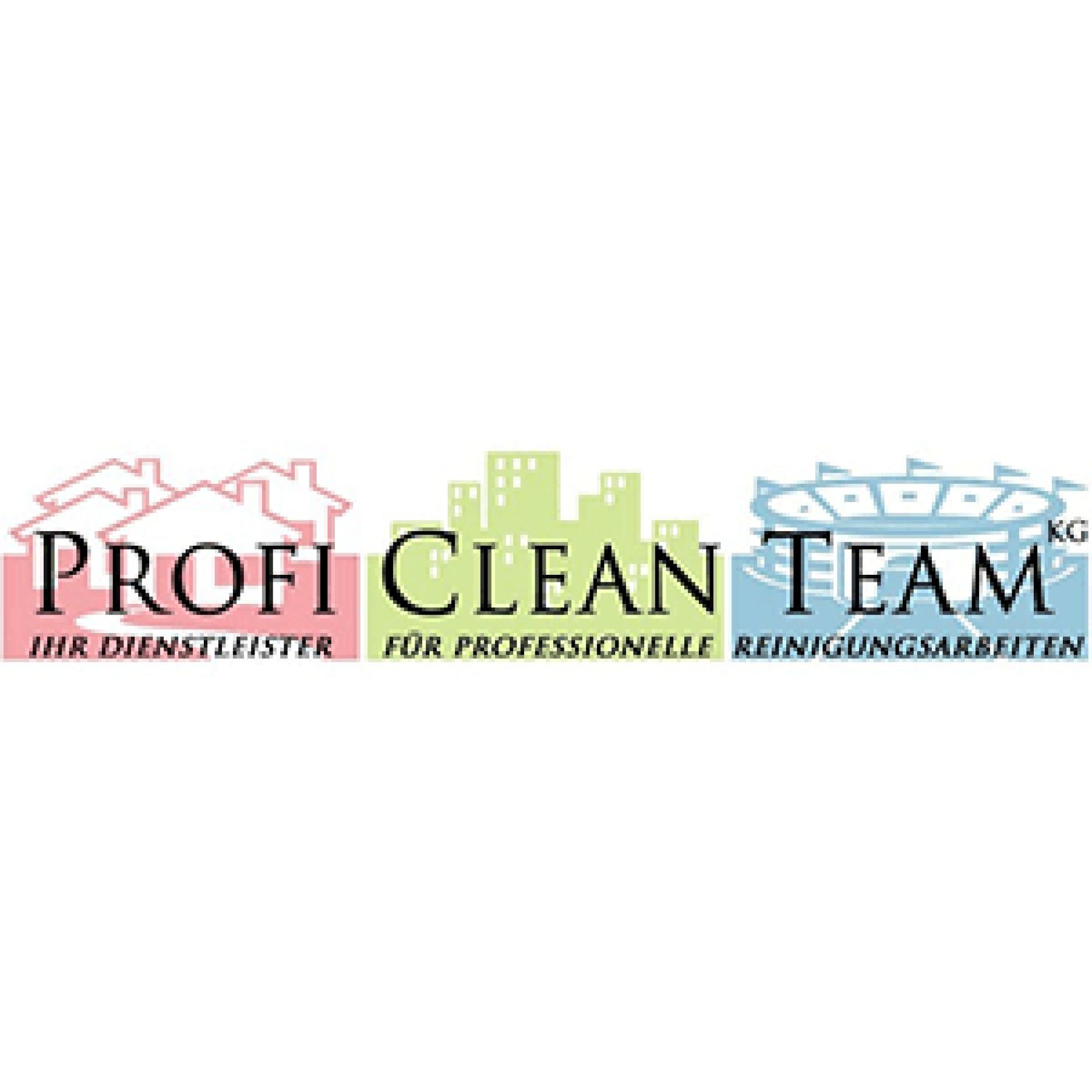 Profi Clean Team KG