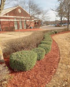 Robert's Landscaping & Design