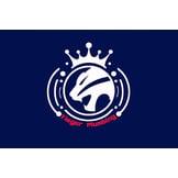 S Tieger Plumbing Co Inc