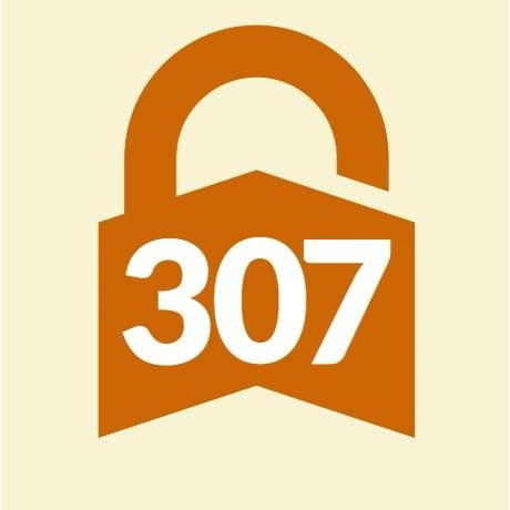 307 Storage Solutions