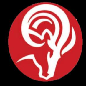 Ram Jack Foundation Solutions