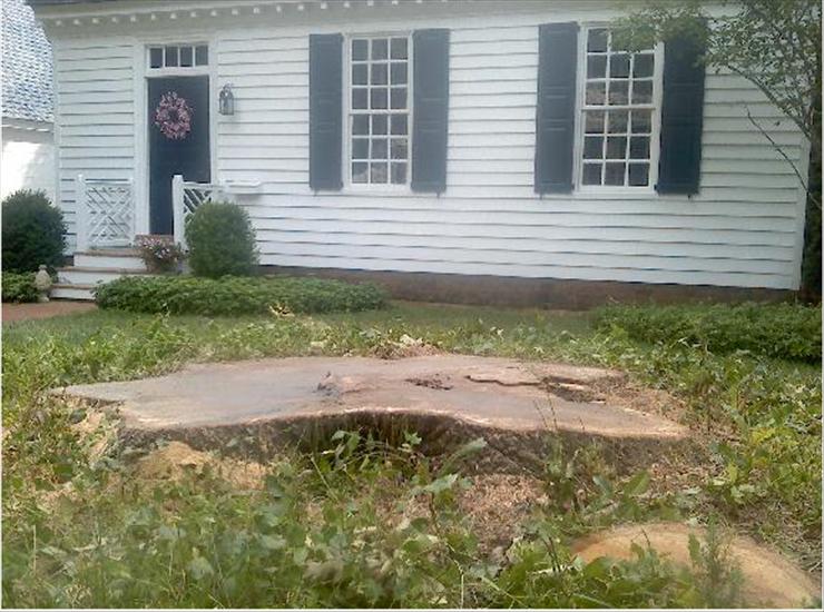 Brad's Tree Service Inc.