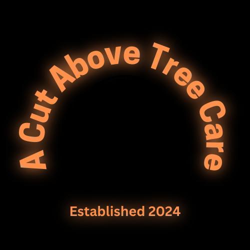 A Cut Above Tree Care