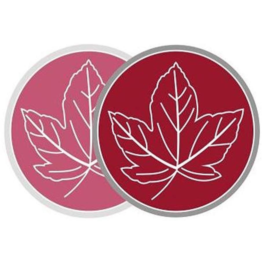 Ahorn-Apotheke im Zentrum