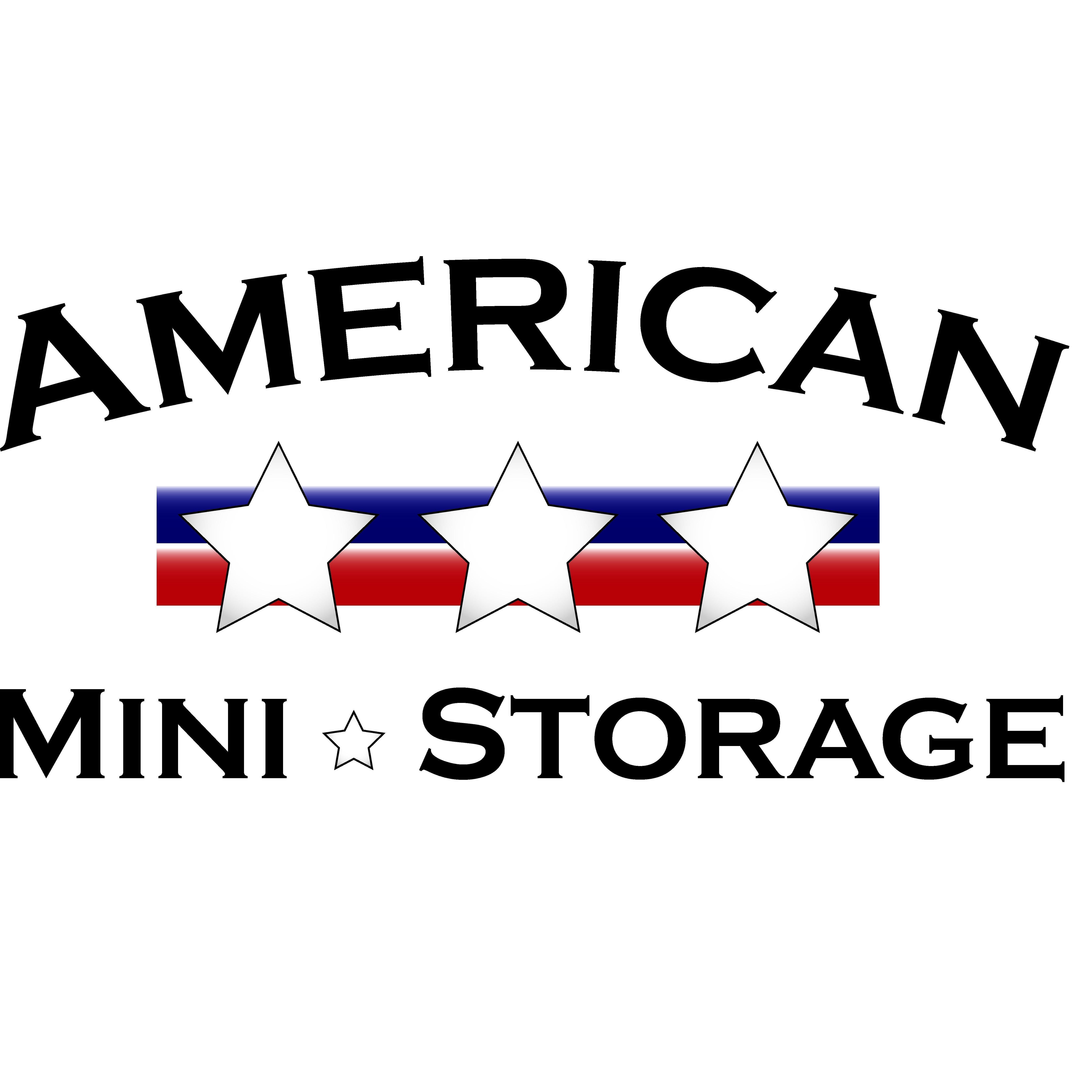 American Mini Storage
