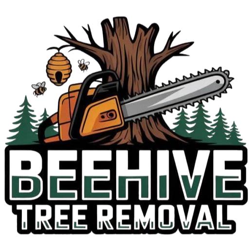 Beehive Tree Removal