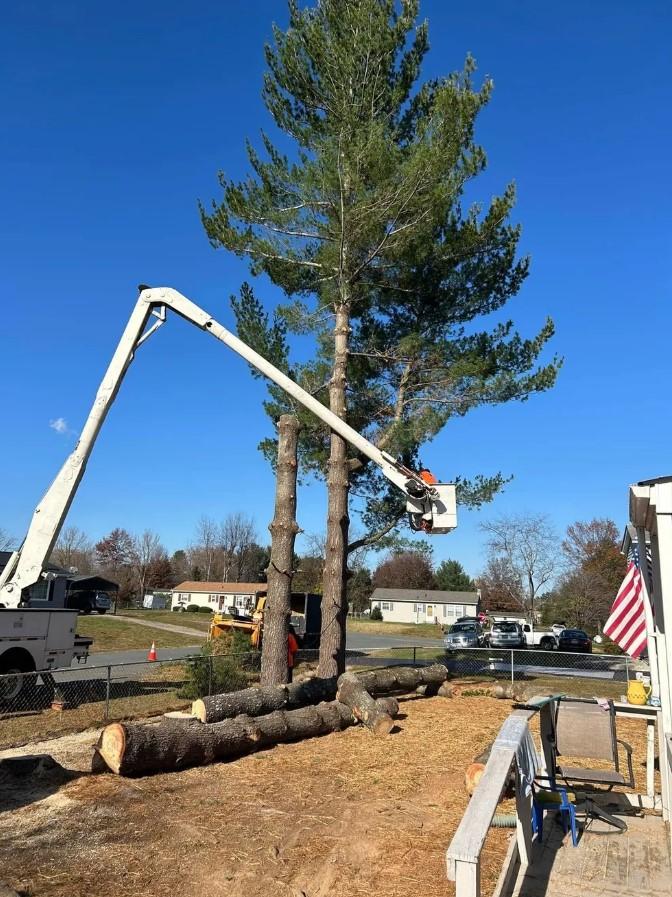 Love Mtn Treescape Services