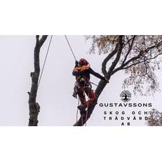Gustavssons Skog & Trädvård AB