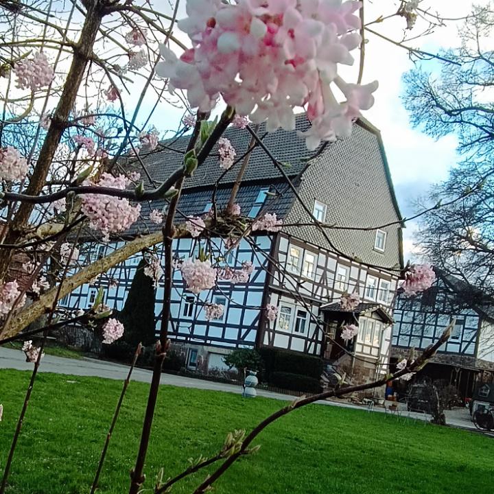 Ferienhof Papiermühle