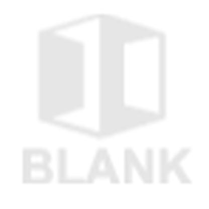 Blank GmbH