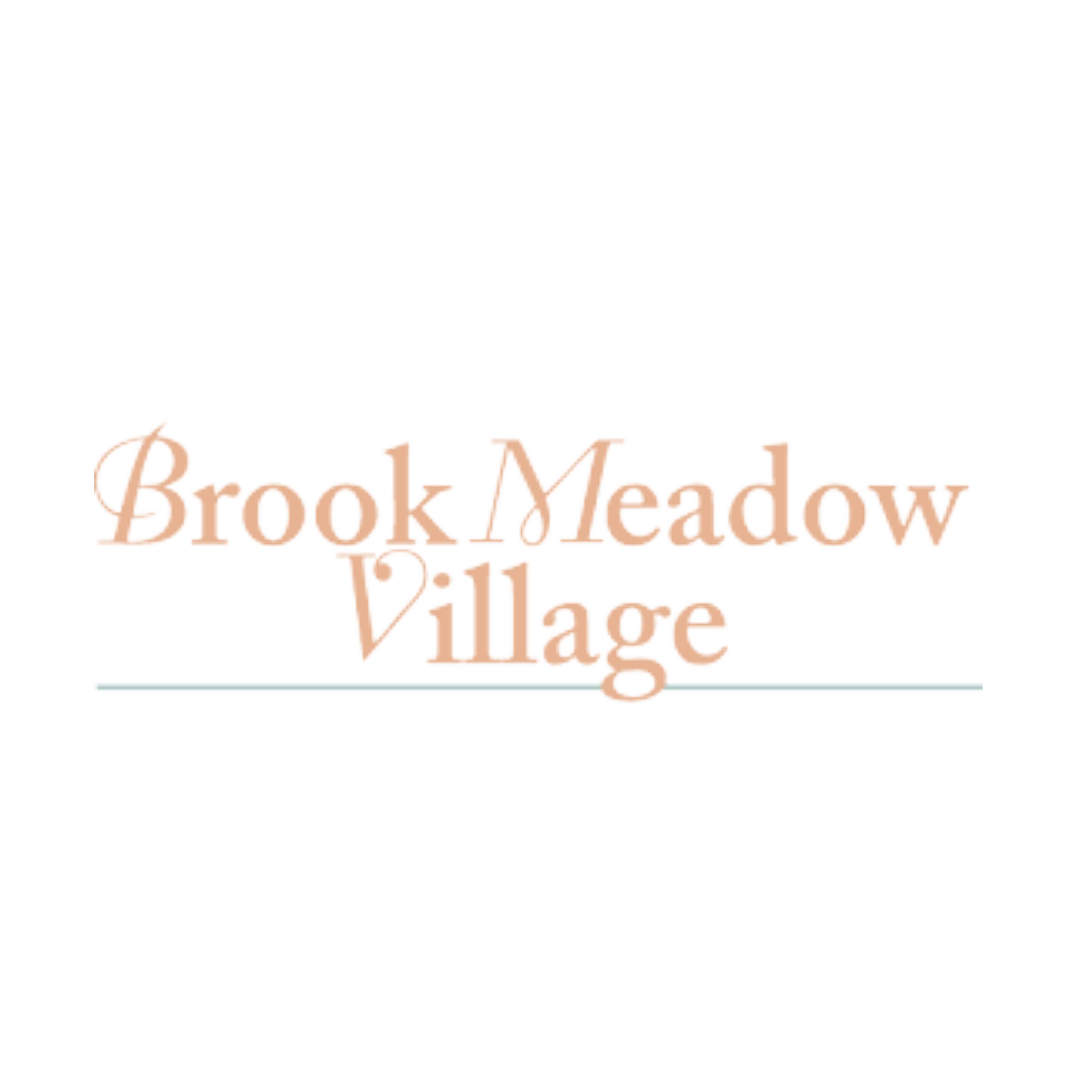 Brook Meadow Village