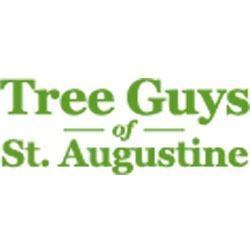 Tree Guys of St Augustine