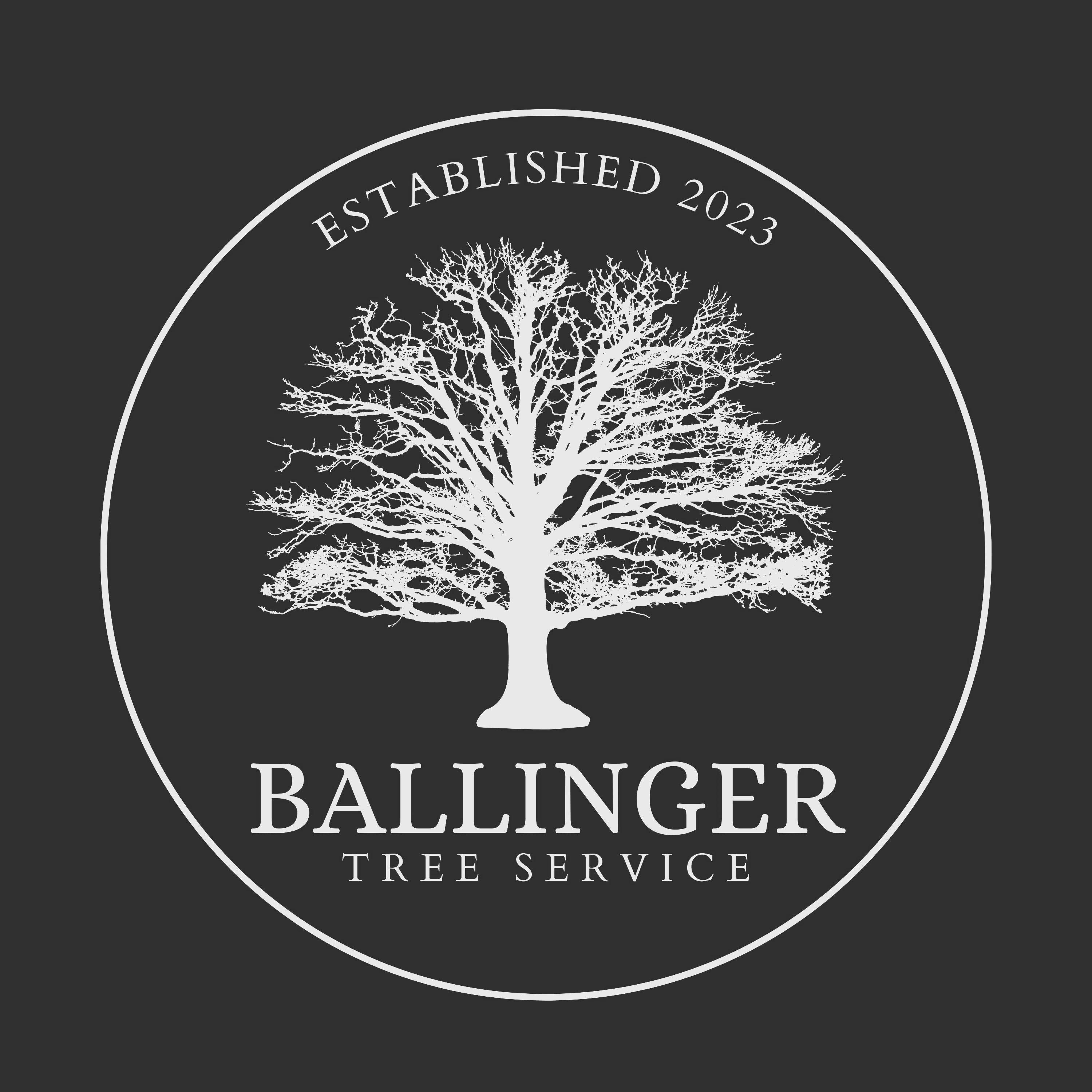 Ballinger Tree Service, LLC