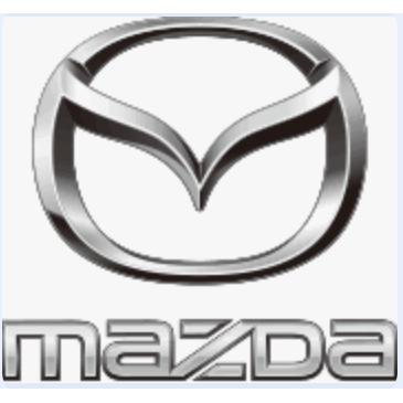 Autogarage Feldmann AG