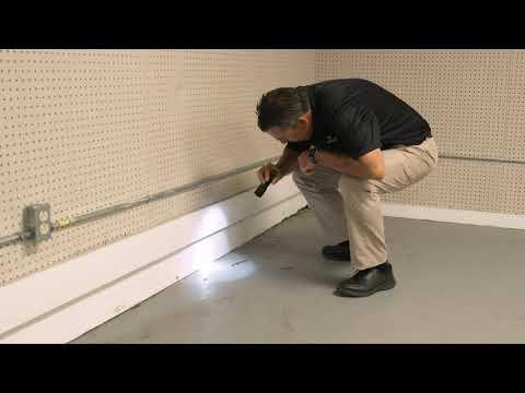 American Pest Professionals