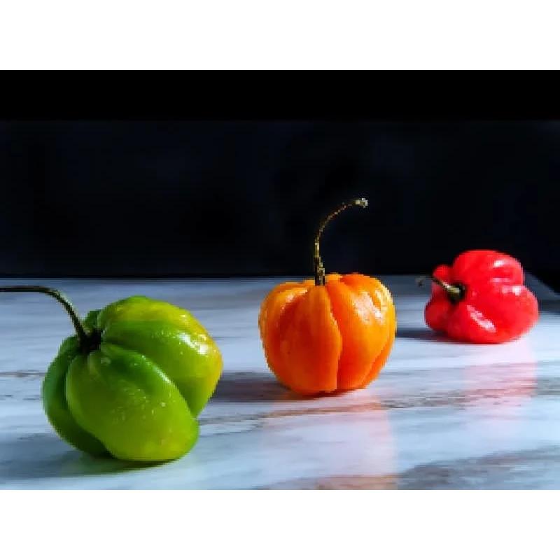 Scotch-Bonnet Catering