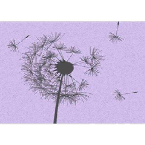 Advocate Health Care.