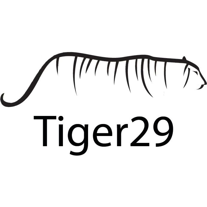 Tiger29 - Sioux Falls SEO