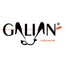 Galian Cogasa