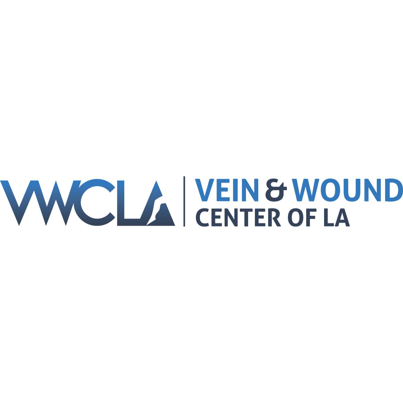 Vein and Wound Center of LA