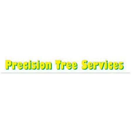 Newcastle Precision Tree Services