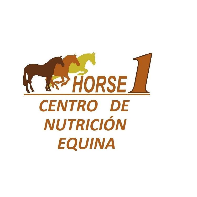 Horse1 Centro de Nutrición Equina