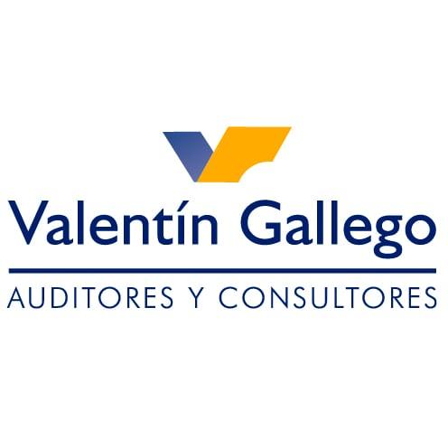 Valentín Gallego Auditores y consultores