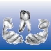 W.M.F.- Dental GmbH & Co.KG