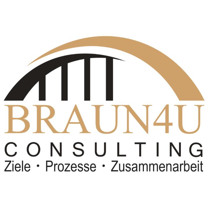 braun4u-consulting