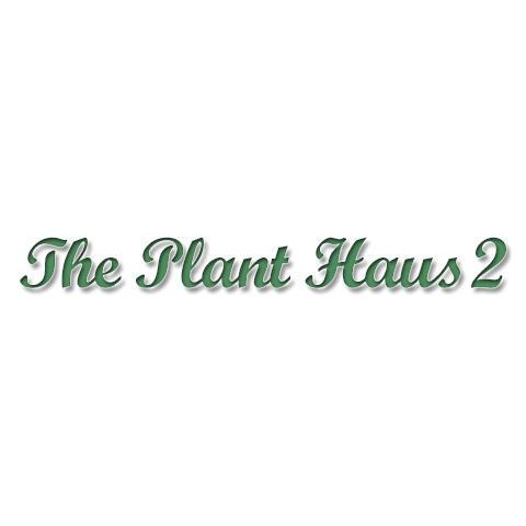 The Plant Haus 2