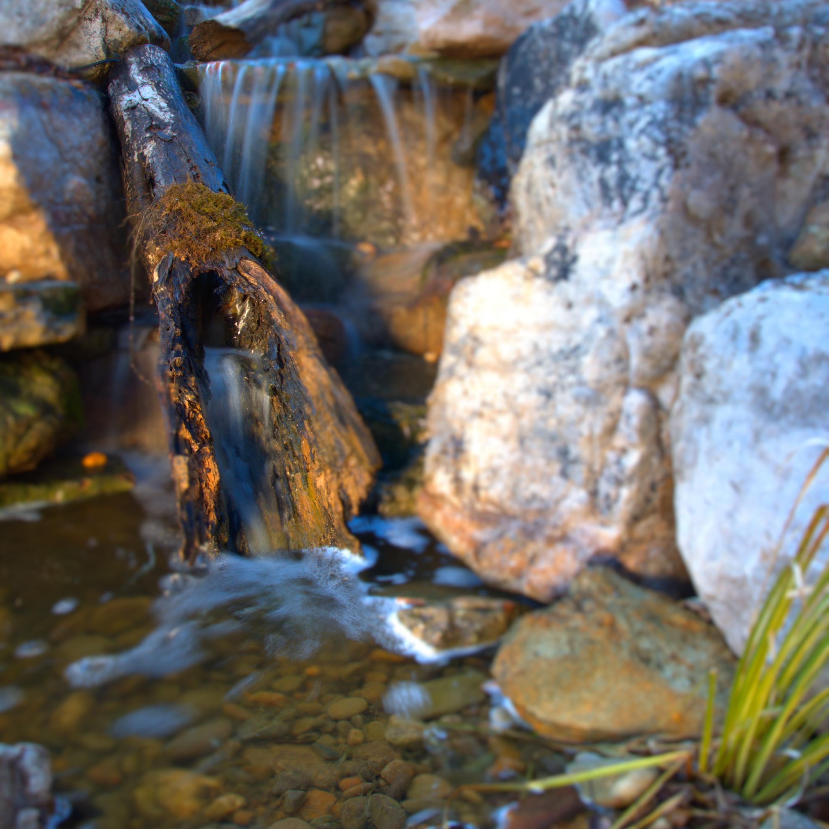 Carolina Pondscapes