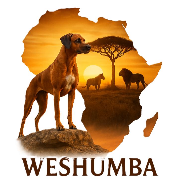 Rhodesian Ridgeback Züchter