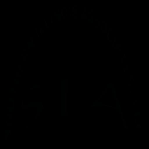 Southern Illinois Associates LLC