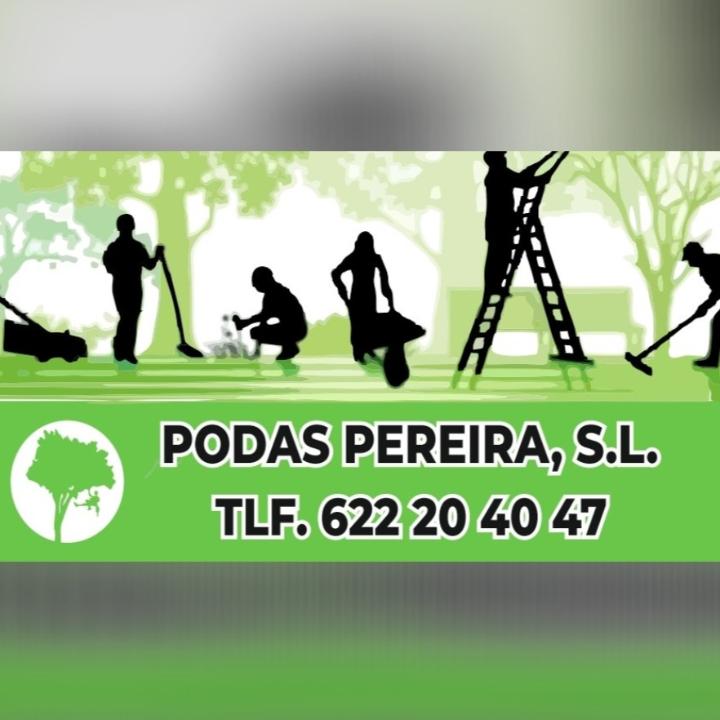 PODAS PEREIRA, PODA EN ALTURA EN SEVILLA Y HUELVA
