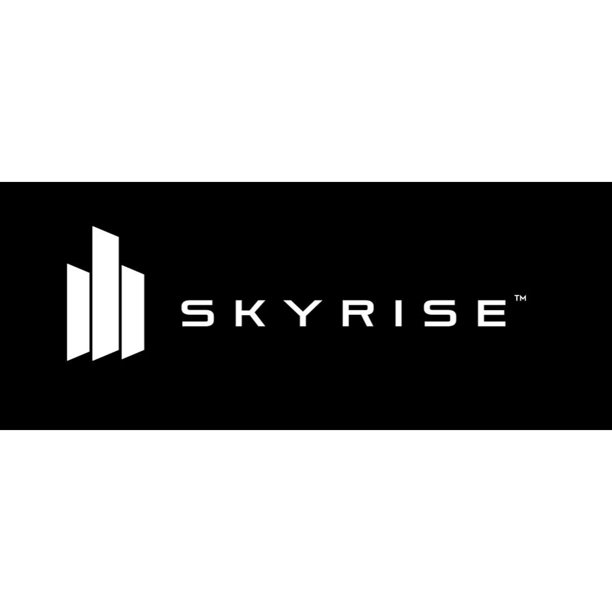 Skyrise Restoration Group