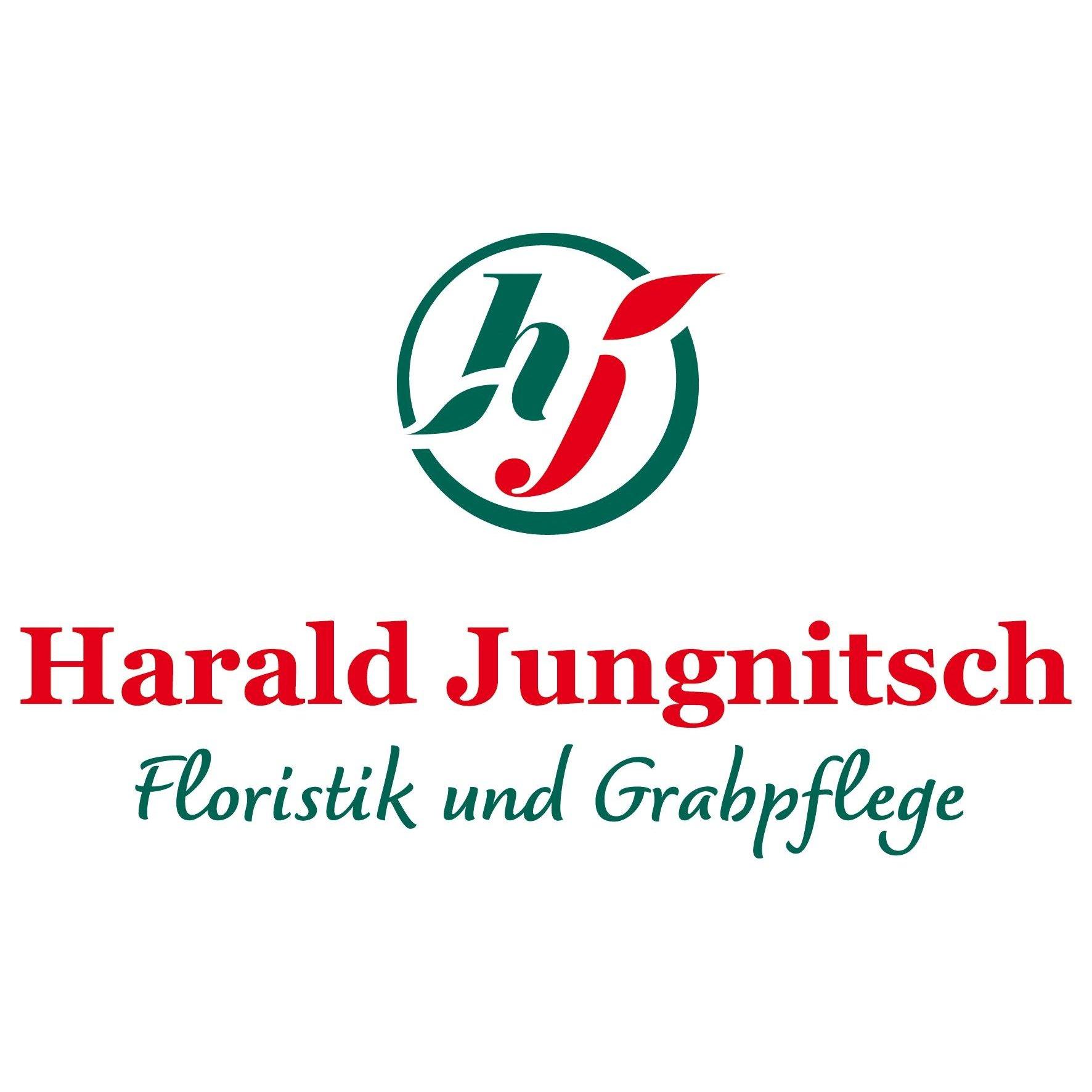 Harald Jungnitsch Blumen