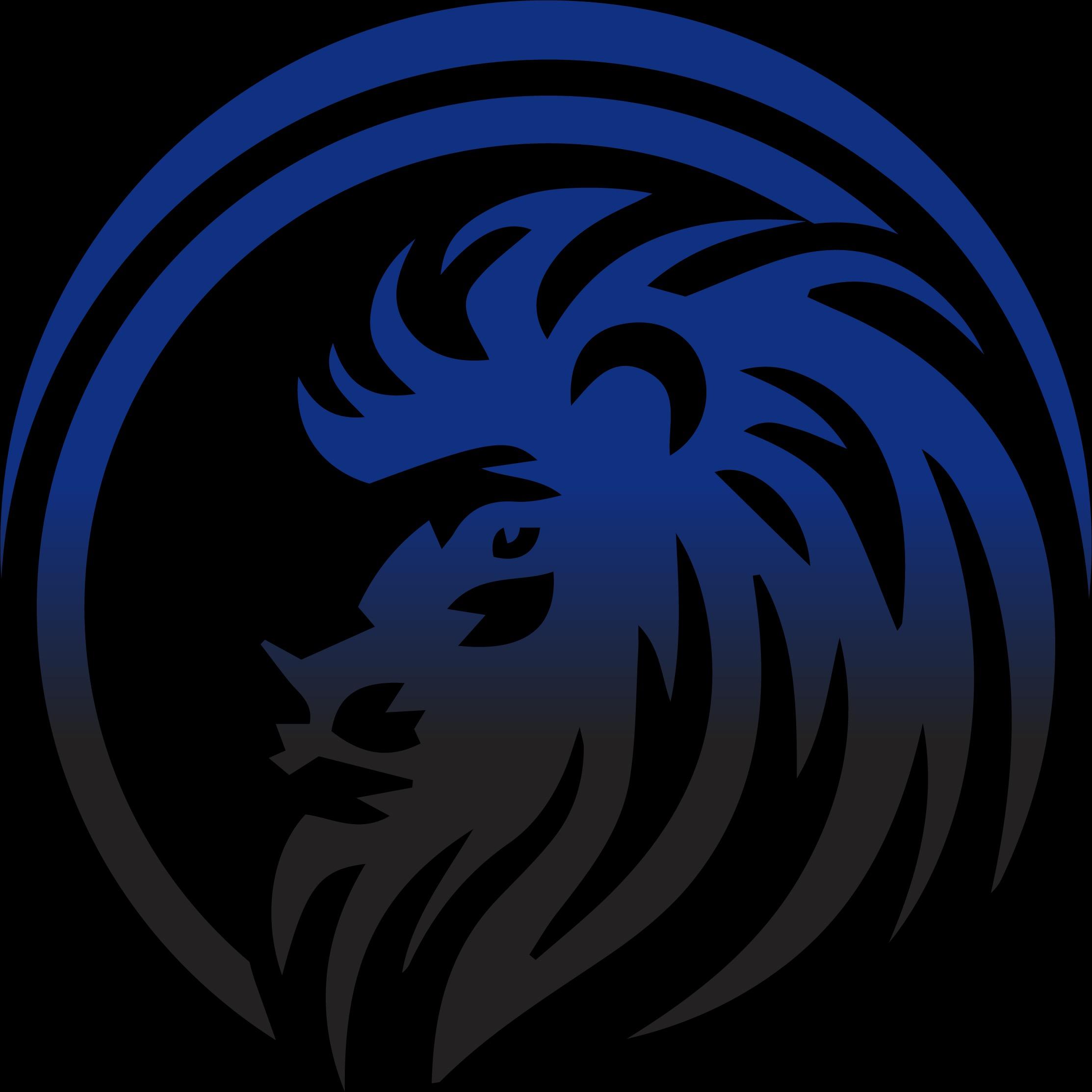 Digital Kings Networking Inc.